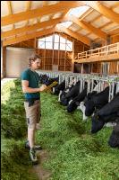 Holstein Management 12