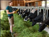 Managing Holstein 11