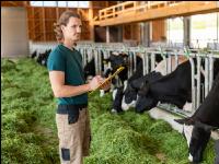 Holstein Management 10