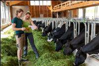Managing Holstein 8