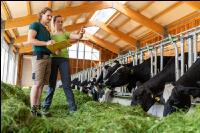 Managing Holstein 7