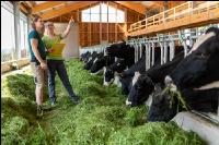 Managing Holstein 5