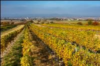 Schützen im Oktober 2