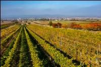 Schützen im Oktober 1