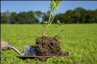 Neue Bilder Juli 2022