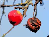 Verfaultes Obst Comic 9