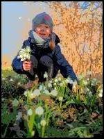 Frühlingsblumen Comic 1