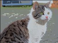 Katze Comic 2