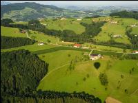 Erster Wiesenschnitt 6