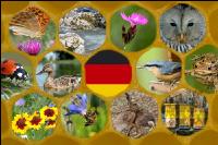 Germany and biodiversity 