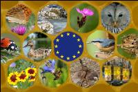 EU und Artenvielfalt