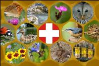 Schweiz und Artenvielfalt