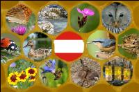 Österreich und Artenvielfalt 