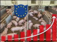 EU Gelder Tierwohlstall