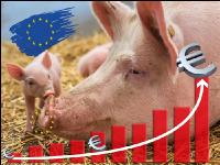 EU and organic farming 2