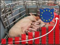 EU und Tierwohlstall 2