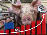 EU und Tierwohlstall 3