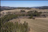 Trockenheit März Wald 6