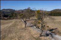 Trockenheit  März Wiese 26