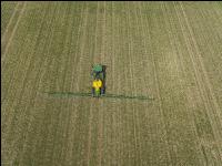 Wheat herbicide 113