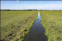 Marshland Holland 11