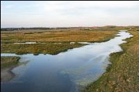 Marshland Holland 10