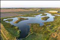 Marshland Holland 9