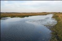 Marshland Holland 7