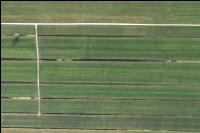 Polders Netherland 6