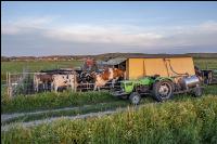 Pasture milking parlour 6