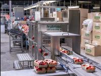 Apfelpackhaus 5