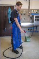 Hygiene in milking barn 12
