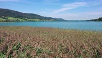 Am Irrsee 03