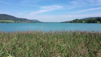 Am Irrsee 05