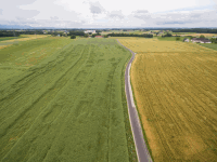 Agrarlandschaft