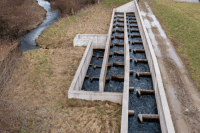 Fischtreppe 1