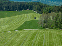 Grassilage Ladewagen 18