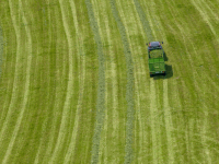 Grassilage Ladewagen 17