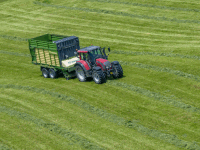 Grass silage forage wagon 10