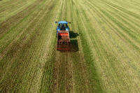 Manure on meadow 6