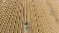 DJI 20230731175402 002