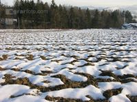 Schnee Muster 5 ID1281