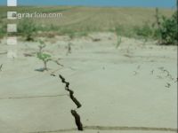 Cracks in the soil 4