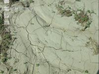 Cracks in the soil 5
