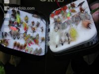 Fliegen fischen 6