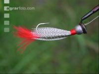 Fliegen fischen 8