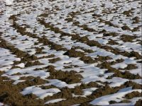 Schnee Muster 9