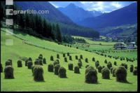 Auf der Alm 25