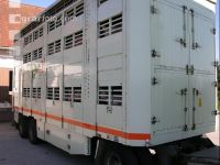 Tiertransporte 13