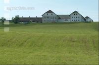 Bauernhof 8